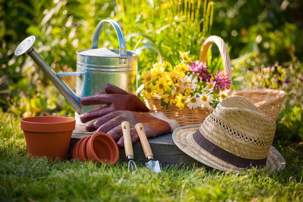 Garden Accessories