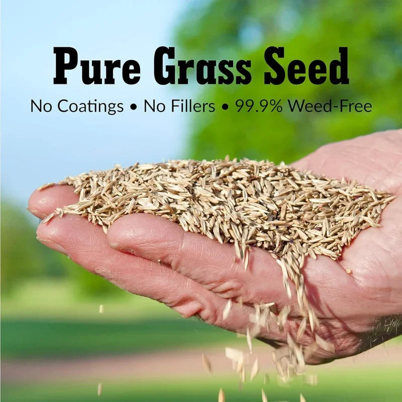 Formula Grass Seed