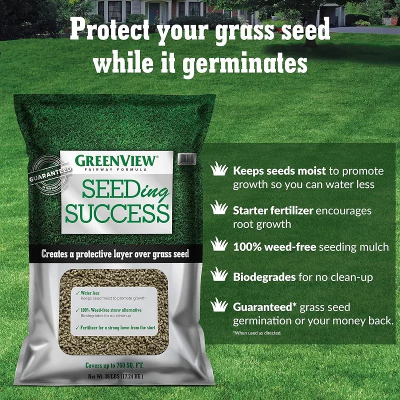 Formula Grass Seed